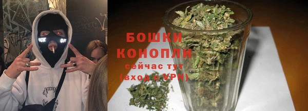 молекула духа Горнозаводск