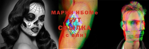Альфа ПВП Горняк