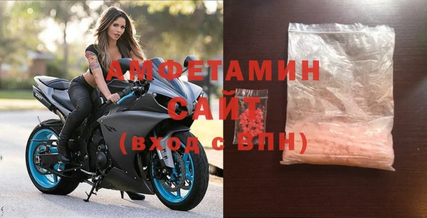 Альфа ПВП Горняк