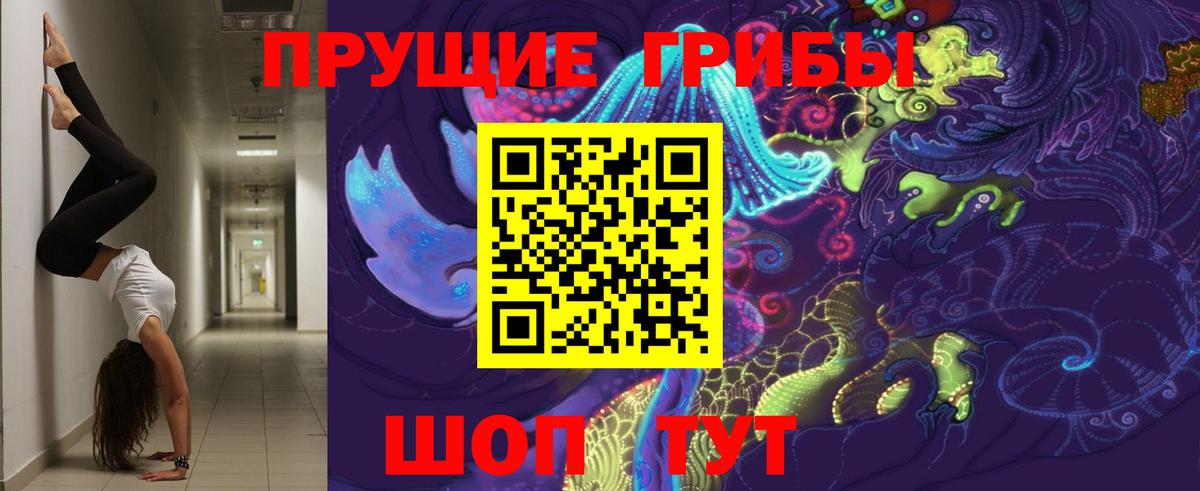 Псилоцибиновые грибы мухоморы  Вход с VPN  Междуреченск 